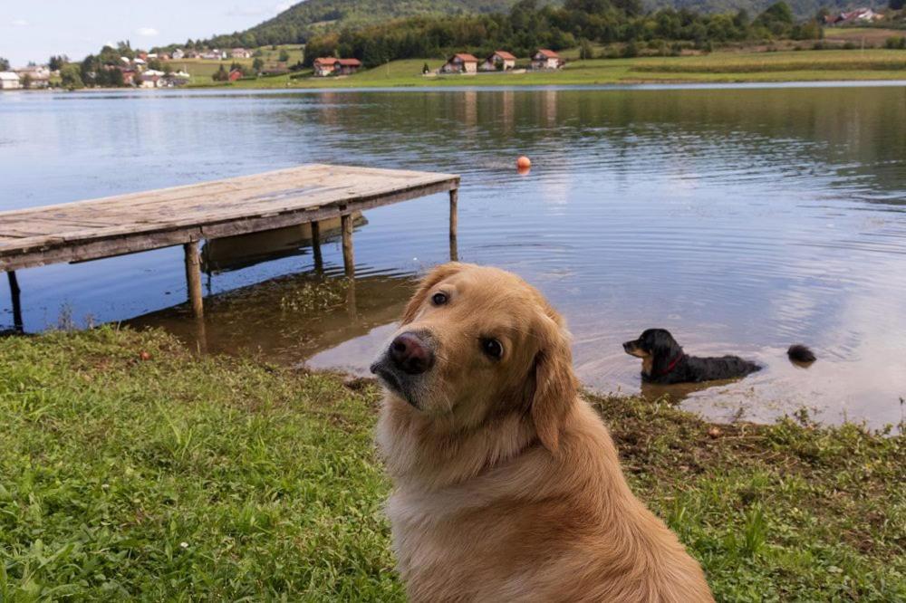 Willa Kuca za odmor Jezero Ogulin Zewnętrze zdjęcie